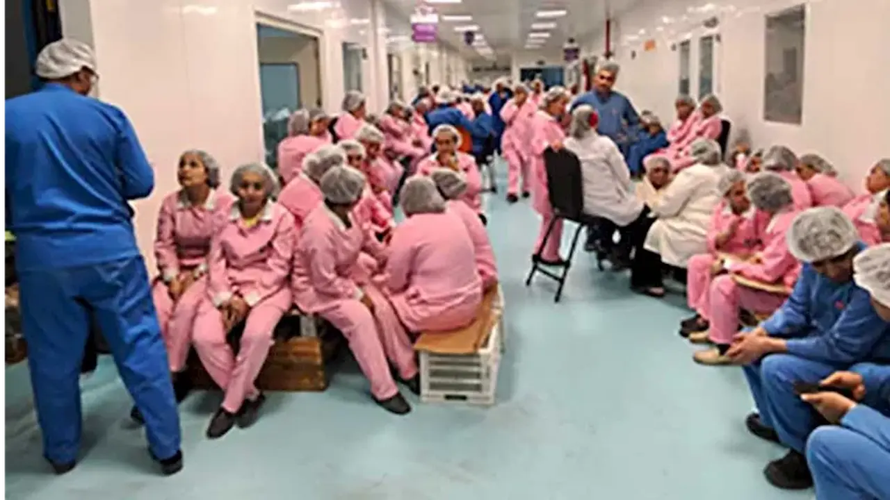 اعتصام عمال شركة أمون للأدوية يتواصل لليوم الخامس وسط تهديدات مستمرة